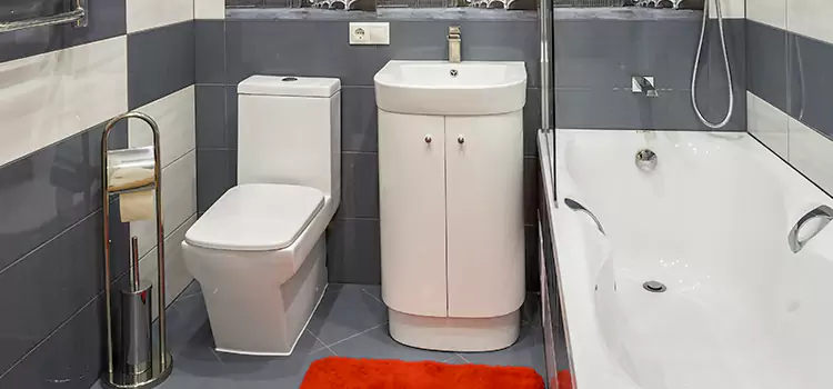 Hansgrohe Shaving Mirror Poway